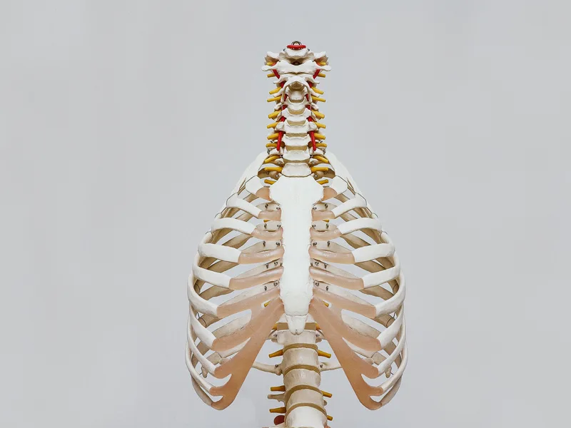 How X-Rays works at Locke Chiropractic & Rehabilitation Center